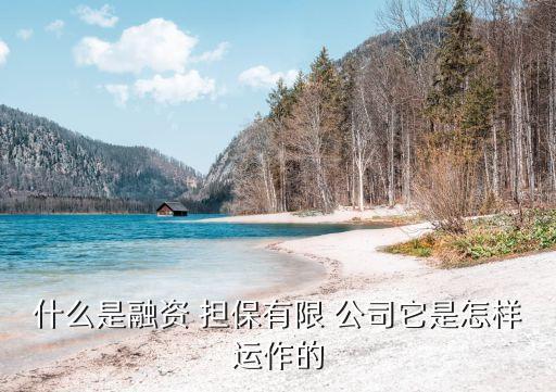 紹興縣擔(dān)保公司,擔(dān)保公司需要什么資質(zhì)