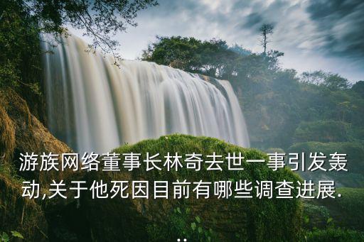  游族網(wǎng)絡(luò)董事長林奇去世一事引發(fā)轟動,關(guān)于他死因目前有哪些調(diào)查進展...