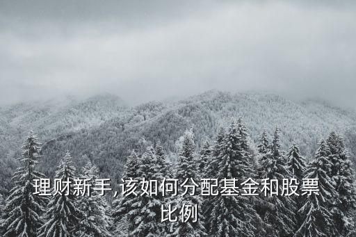  理財新手,該如何分配基金和股票 比例