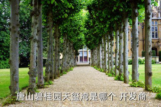  唐山碧桂園天璽灣是哪個(gè) 開發(fā)商