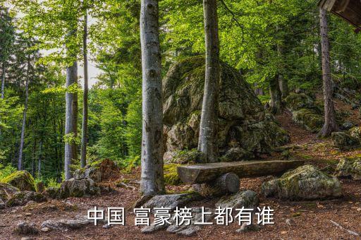 中國 富豪榜上都有誰
