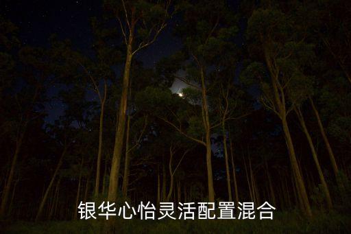  銀華心怡靈活配置混合