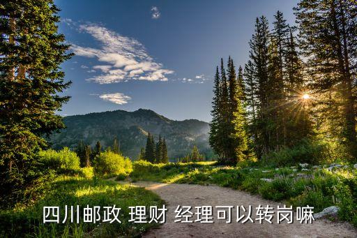 四川郵政 理財 經理可以轉崗嘛