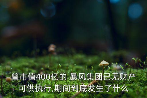 曾市值400億的 暴風集團已無財產可供執(zhí)行,期間到底發(fā)生了什么