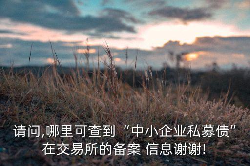 請(qǐng)問,哪里可查到“中小企業(yè)私募債”在交易所的備案 信息謝謝!
