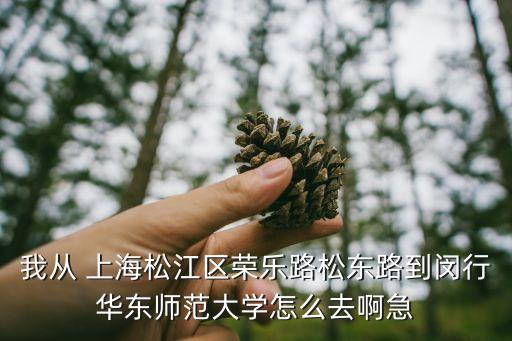 我從 上海松江區(qū)榮樂(lè)路松東路到閔行華東師范大學(xué)怎么去啊急