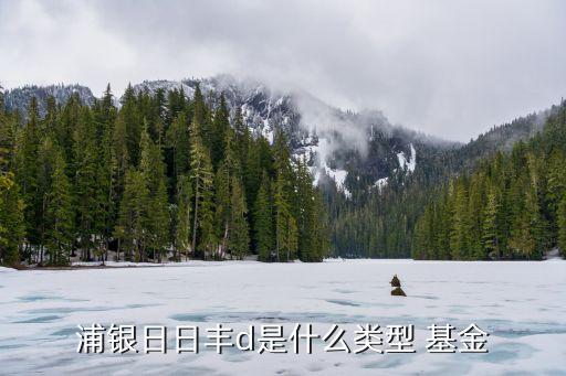 浦銀日日豐d是什么類(lèi)型 基金