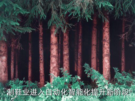  制鞋業(yè)進(jìn)入自動化智能化提升新階段