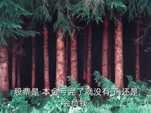  股票是 本金虧完了就沒(méi)有了,還是會(huì)負(fù)錢