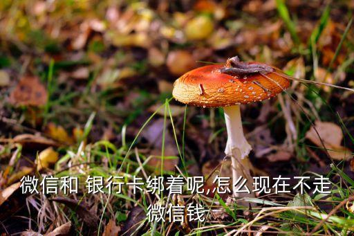 微信和 銀行卡綁著呢,怎么現(xiàn)在不走微信錢(qián)
