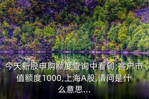 今天新股申購(gòu)額度查詢(xún)中看到:客戶(hù)市值額度1000,上海A股,請(qǐng)問(wèn)是什么意思...