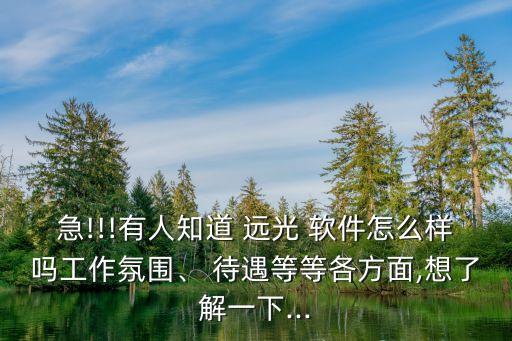 急!!!有人知道 遠(yuǎn)光 軟件怎么樣嗎工作氛圍、 待遇等等各方面,想了解一下...