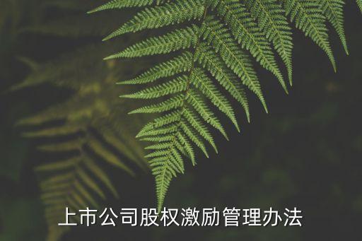 上市公司股權激勵管理辦法