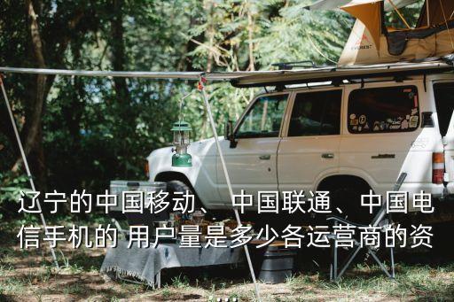 遼寧的中國(guó)移動(dòng)、 中國(guó)聯(lián)通、中國(guó)電信手機(jī)的 用戶(hù)量是多少各運(yùn)營(yíng)商的資...
