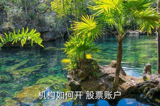 機構如何開 股票賬戶