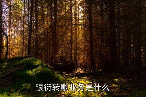 我國商業(yè)銀行金融衍生品,商業(yè)銀行衍生品業(yè)務資格由誰批準