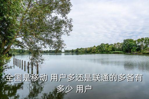 中國(guó)聯(lián)通用戶(hù)量
