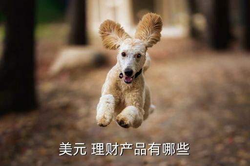 中外資銀行理財,外資銀行理財產(chǎn)品劣勢