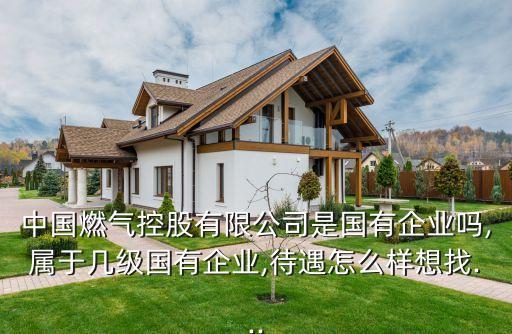 中國燃?xì)饪毓捎邢薰臼菄衅髽I(yè)嗎,屬于幾級(jí)國有企業(yè),待遇怎么樣想找...