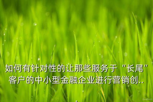 如何有針對(duì)性的讓那些服務(wù)于“長尾”客戶的中小型金融企業(yè)進(jìn)行營銷創(chuàng)...