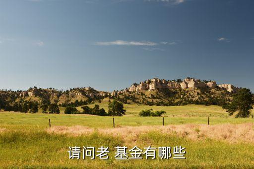請(qǐng)問老 基金有哪些