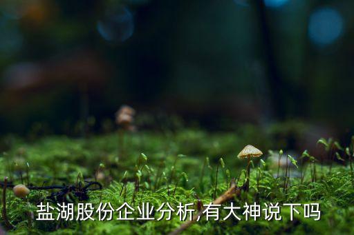 2015鹽湖集團(tuán)各公司業(yè)績(jī)