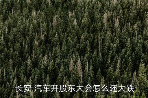  長(zhǎng)安 汽車(chē)開(kāi)股東大會(huì)怎么還大跌